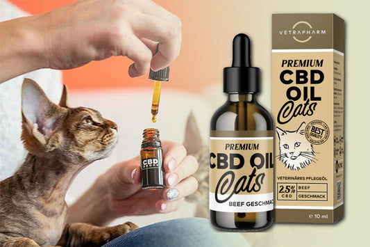 VETRAPHARM Cats mit Beef-Geschmack 2,5% CBD, 10ml